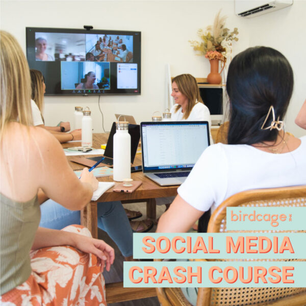 Birdcage-Marketing-Social-Media-Crash-Course