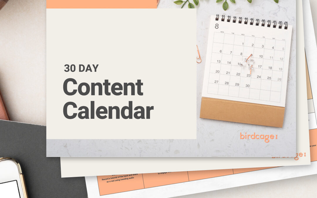 Birdcage-Markering-30-day-content-planner