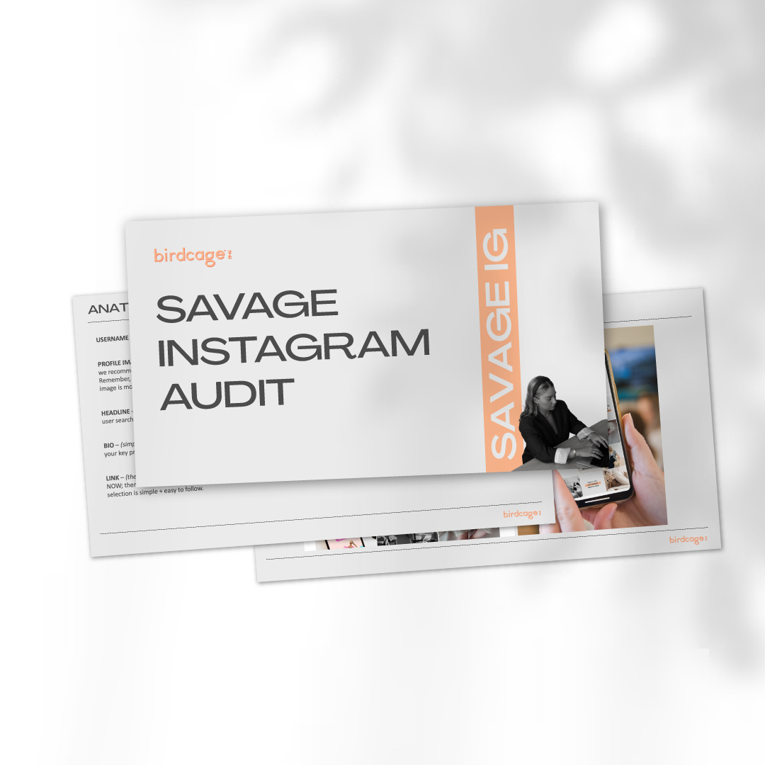 birdcage-digital-marketing-savage-instagram-audit2