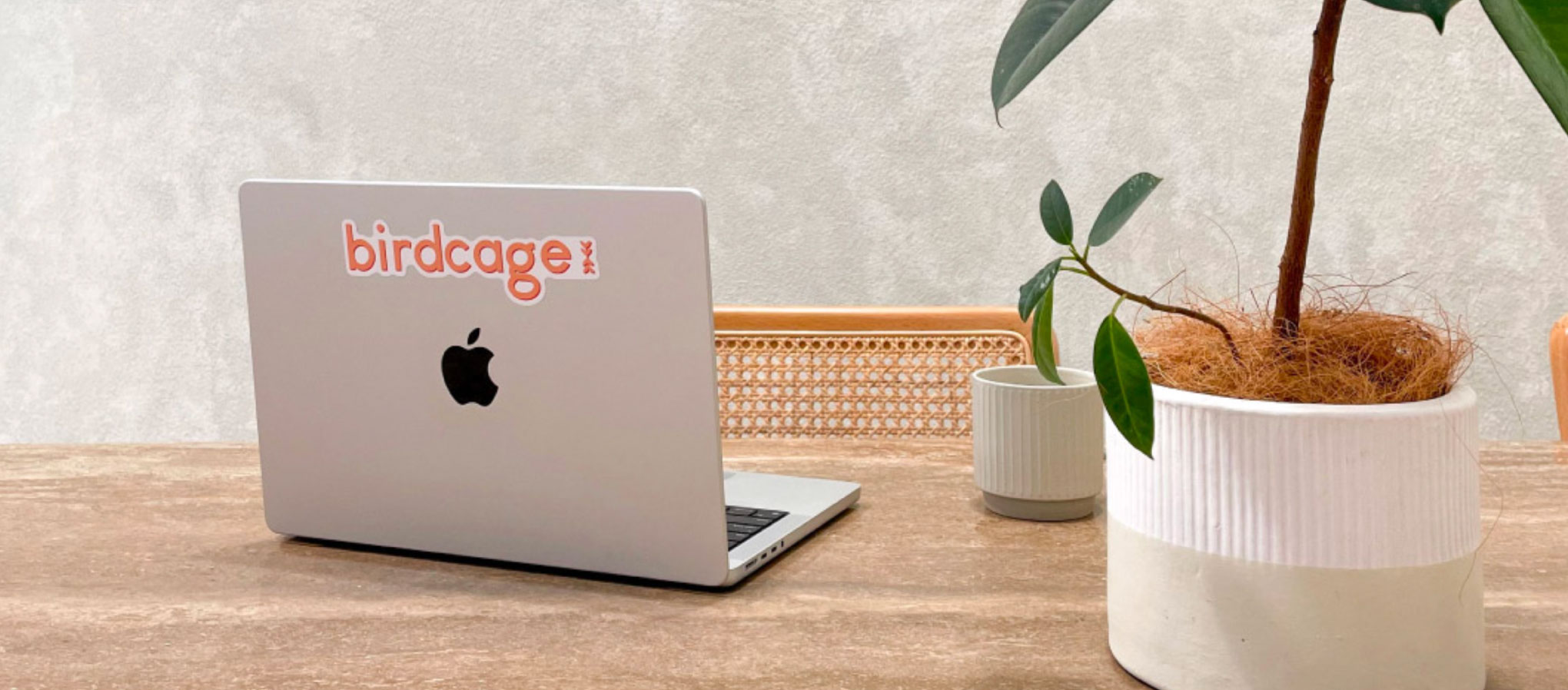birdcage-marketing-digital-experts-studio-bg