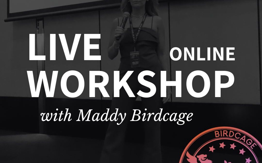 Live-Workshop-with-Maddy-Birdcage